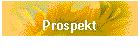 Prospekt